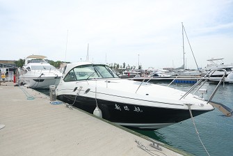 Searay305運(yùn)動艇